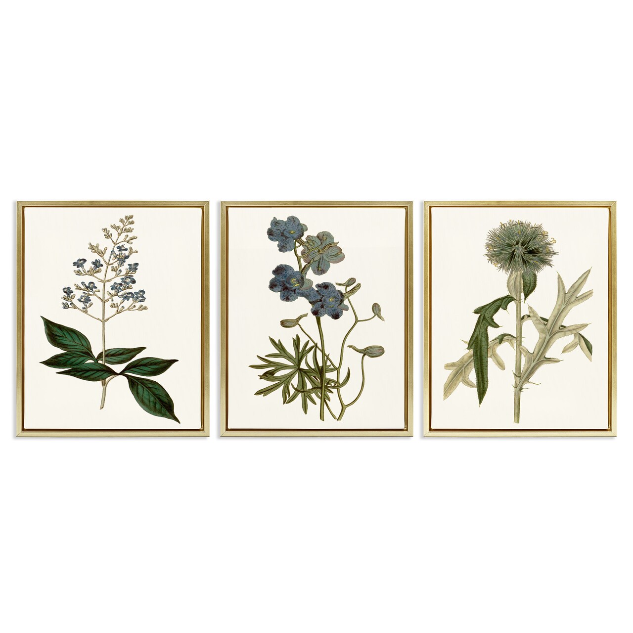Stupell Industries Vintage Botanical Flowers on Beige Framed Floater Canvas Wall Art